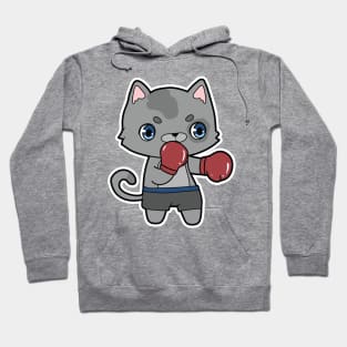 Cat at Boxing with Boxing gloves Hoodie